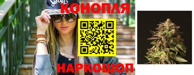 сатива Партизанск