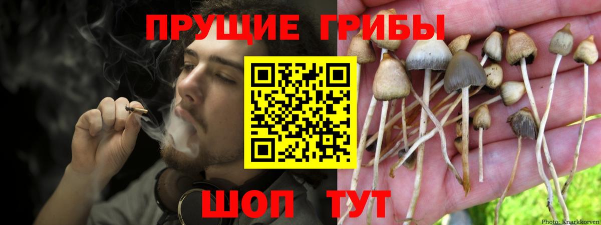Сланцы  Галлюциногенные грибы Magic Shrooms  Вход с VPN  Галлюциногенные грибы мухоморы 